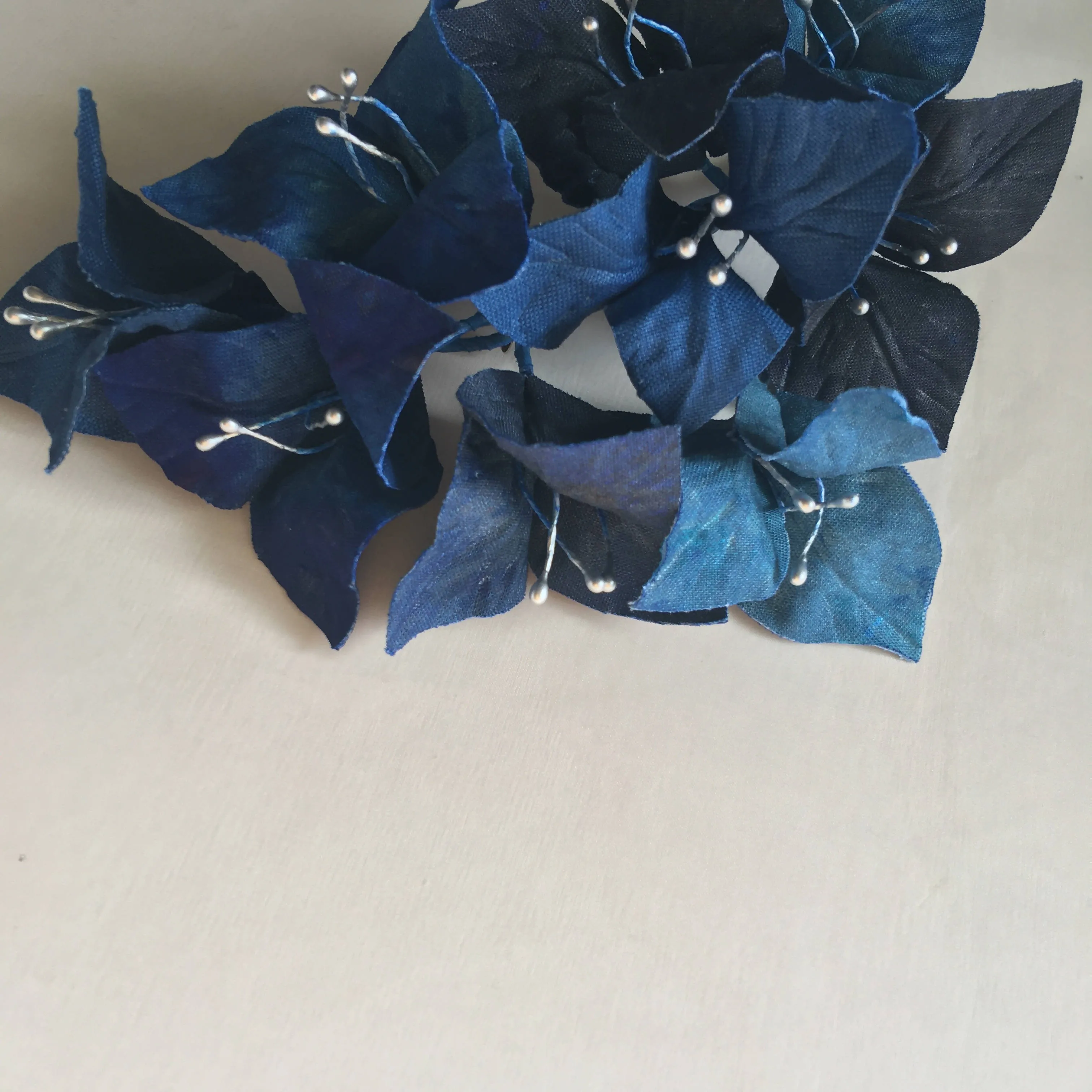 Navy Blue Bougainvillea